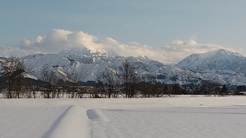 暑い日が続きますので