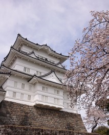 スズキアリ－ナ坂戸店は明日から通常営業です