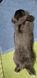 ４月も半ばを過ぎましたね。