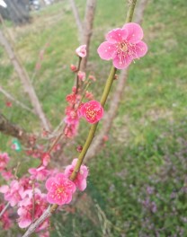 大決算フェア！