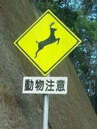 交通事故死ゼロを目指して(2月19日)
