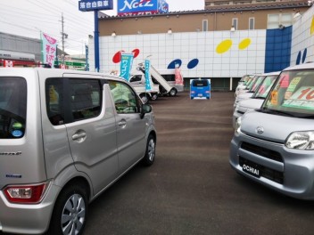 衝突被害軽減