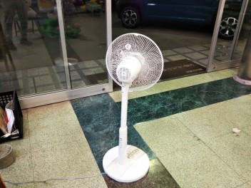 外向きに　ヾ(o´∀｀o)ﾉ