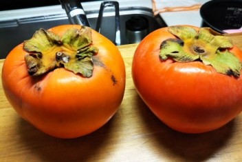 季節変わりには