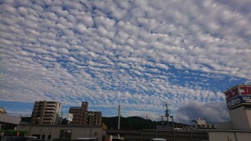 洗濯日和ですね