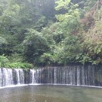 本日より営業致しております♪