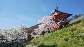 ４／１７土～新生活応援フェア★開催