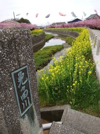 ＊満開マジカです～✿＊