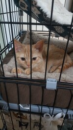 家族が増えました！！