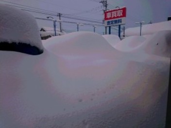 37年ぶりの豪雪★