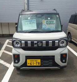 ピュアホワイトパールとソフトベージュメタリックの違い
