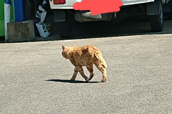連休前にご試乗はいかがですか？