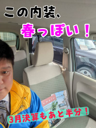 ＜新・試乗車情報＞　ラパンに春を感じた…