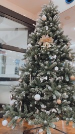 12月★