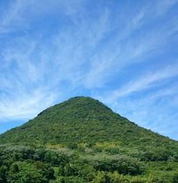 カナマルの築山の緑