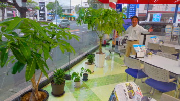 ショールームの観葉植物♡