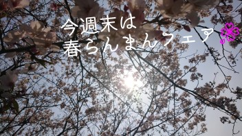 春らんまんフェア♪