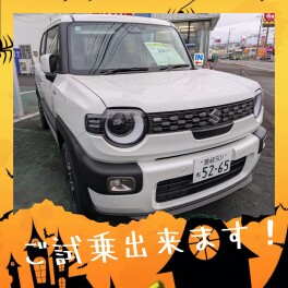 今週末はご試乗いかがですか？