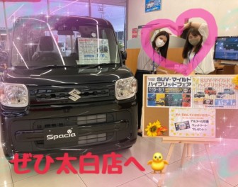 SUV・マイルドハイブリッドフェアファイナル！！