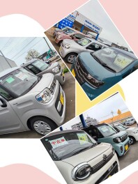 ✨中古車もあります✨