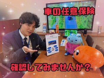 自動車保険　『無料相談会』開催！！