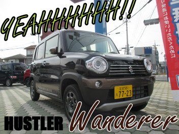 HUSTLER 特別仕様車Wanderer入りました☆