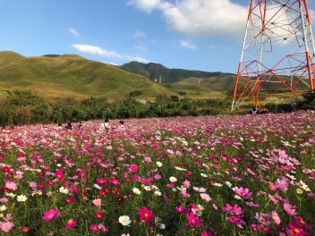 秋のドライブに（＾＾★）