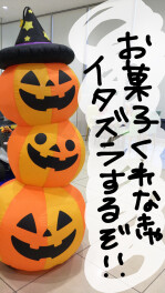 パンプキンくんとハロウィンフェア♪