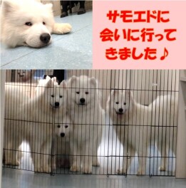 中学生が職場体験に来てくれました(^▽^)/