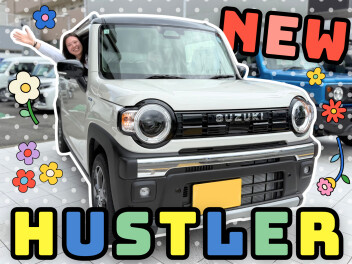 ★ NEW ★　ハスラー  登場！！