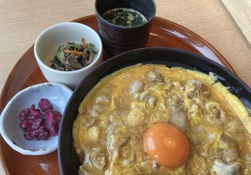 名古屋飯を満喫