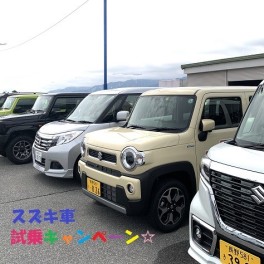 スズキ車試乗キャンペーン