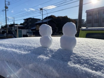 初雪です！！