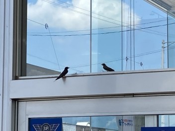 親子