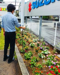 花壇のお花が大きくなってきました