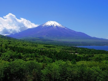 軽トラで家庭菜園をたのしんでいます