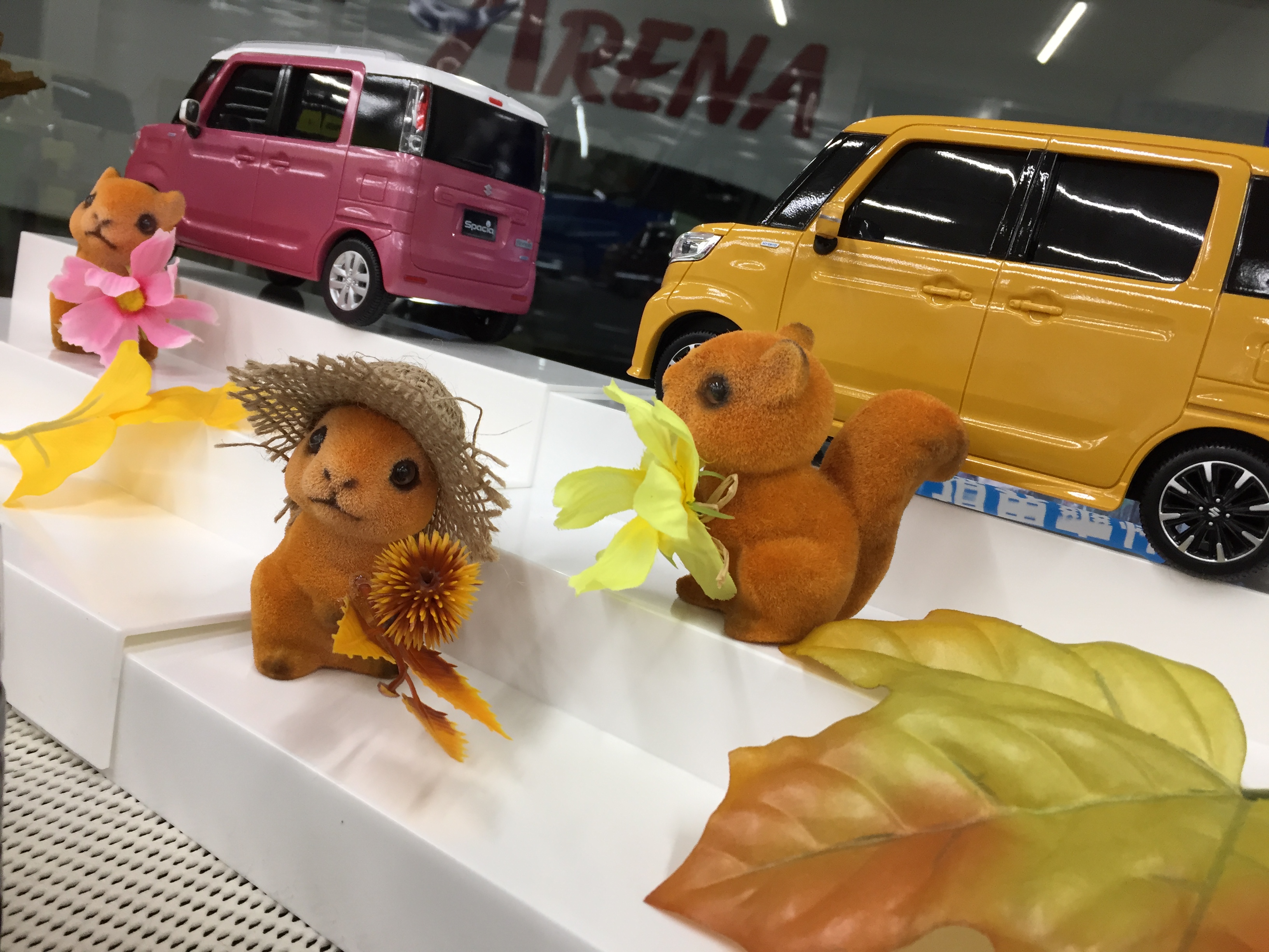 イチオシスペーシアと新入りのリスちゃんです