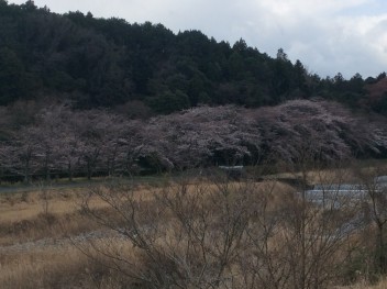 スズキ大決算も後わずか