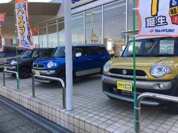 展示車がリニューアル致しました！