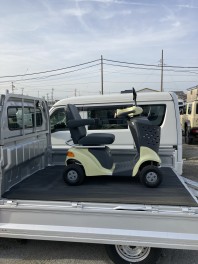 このくらいの大きさです