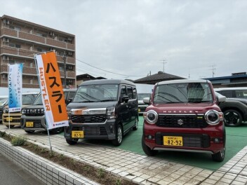 6/6(SAT)～スズキの日始まります