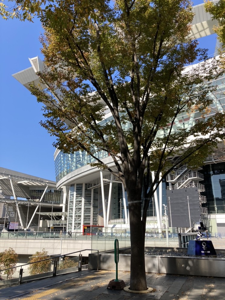 採用情報トピックス 採用情報 株式会社スズキ自販西埼玉