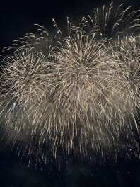 新入社員が長岡花火大会へ！夏の感動を体感！