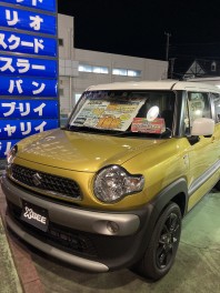 限定1台！ワンプライス車両のお知らせです！