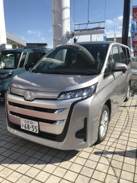 新型ランディ―登場しました (((o(*ﾟ▽ﾟ*)o)))