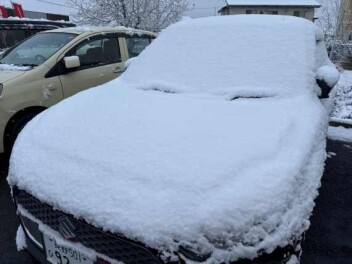 ついに降りましたね