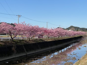 今の季節こそ！！