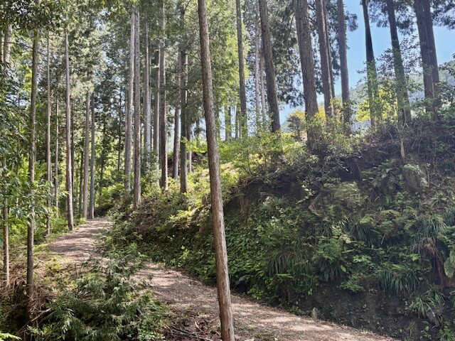 山道