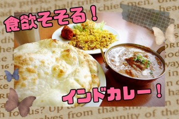 インドカレー食べませんか？？