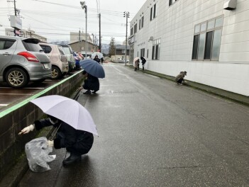 毎月　清掃活動を行っております！